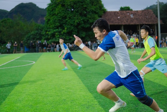 助教发表了 助教发表了